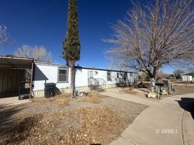 Bring your imagination and come see what this home can offer on Mt. Graham Municipal Golf Course in Arizona - for sale on GolfHomes.com, golf home, golf lot