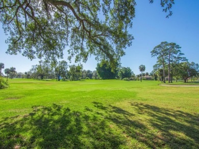 Discover your ideal retreat in this rare 2 bed, 2 bath on Meadowood Golf and Tennis Club in Florida - for sale on GolfHomes.com, golf home, golf lot
