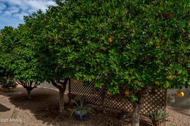 Located in the heart of Sun Lakes, this well-maintained home on Oakwood Golf Club  in Arizona - for sale on GolfHomes.com, golf home, golf lot