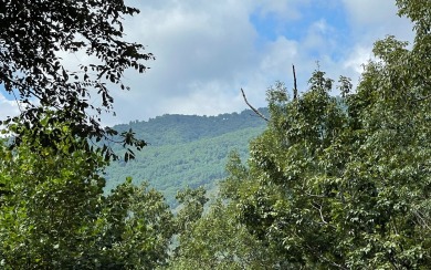 ACREAGE IN THE NORTH CAROLINA MOUNTAINS!! This beautifully for sale on GolfHomes.com