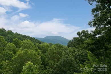A masterpiece of mountain luxury living with sweeping mountain on Kenmure Country Club in North Carolina - for sale on GolfHomes.com, golf home, golf lot