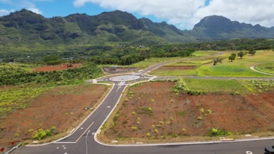 Exceptional Opportunity in Lihue's Newest Golf Course on Puakea Golf Course in Hawaii - for sale on GolfHomes.com, golf home, golf lot