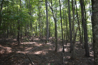 Must see the view from this beautiful wooded lot in Stillwaters on Stillwaters Golf and Country Club in Alabama - for sale on GolfHomes.com, golf home, golf lot