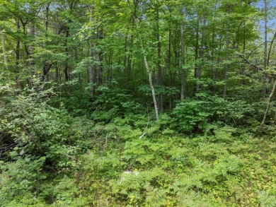 Perfect opportunity for you to build your forever home or cabin on Breezy Point Golf Course Resort in Minnesota - for sale on GolfHomes.com, golf home, golf lot