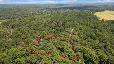 Discover peaceful East Texas living in this spacious 3,052 sq ft on Holly Lake Ranch Golf Club in Texas - for sale on GolfHomes.com, golf home, golf lot