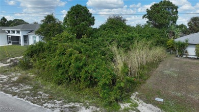 Location! Location! This is a .28 acre lot across the canal from on Mirror Lakes Golf Club in Florida - for sale on GolfHomes.com, golf home, golf lot