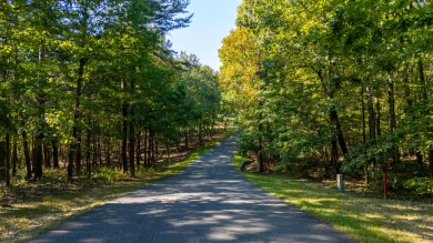 Don't miss this opportunity! McLemore's Lot D-12 is ready for on McLemore Golf Club in Georgia - for sale on GolfHomes.com, golf home, golf lot