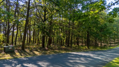 Don't miss this opportunity! McLemore's Lot D-12 is ready for on McLemore Golf Club in Georgia - for sale on GolfHomes.com, golf home, golf lot