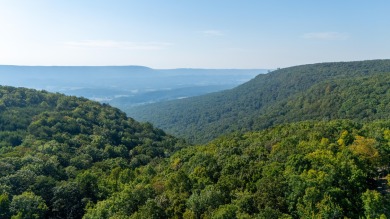 Don't miss this opportunity! McLemore's Lot D-12 is ready for on McLemore Golf Club in Georgia - for sale on GolfHomes.com, golf home, golf lot