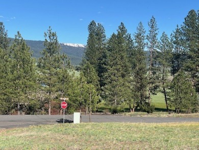 Corner .74 acre acre gently sloped lot with views of Brundage on Meadowcreek Golf Resort in Idaho - for sale on GolfHomes.com, golf home, golf lot