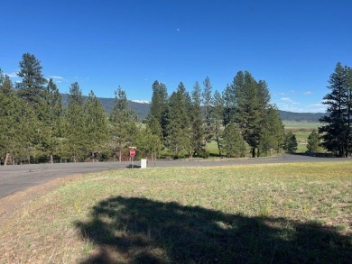 Corner .74 acre acre gently sloped lot with views of Brundage on Meadowcreek Golf Resort in Idaho - for sale on GolfHomes.com, golf home, golf lot