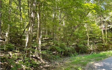 NORTH GEORGIA MOUNTAIN LOT WITH BIG MOUNTAIN & LAKE VIEWS!! This for sale on GolfHomes.com
