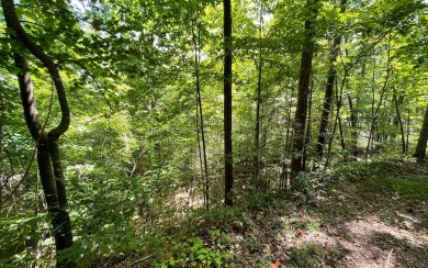 NORTH GEORGIA MOUNTAIN LOT WITH BIG MOUNTAIN & LAKE VIEWS!! This on Brasstown Valley Resort and Spa in Georgia - for sale on GolfHomes.com, golf home, golf lot