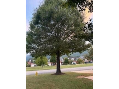 Charming 2BR/2BA  Brick  townhome in the Beautiful Black Creek on Black Creek Club in Tennessee - for sale on GolfHomes.com, golf home, golf lot