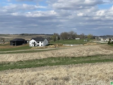 Looking for a long term investment property or a property ready on The Meadows Country Club in Iowa - for sale on GolfHomes.com, golf home, golf lot