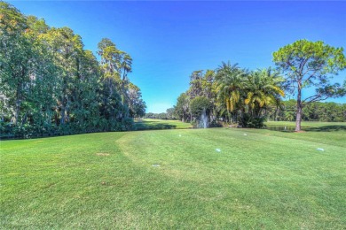 PRICED TO SELL  FURNISHED OR UNFURNISHED
Welcome to 3714 Trophy on Seven Springs Golf and Country Club in Florida - for sale on GolfHomes.com, golf home, golf lot