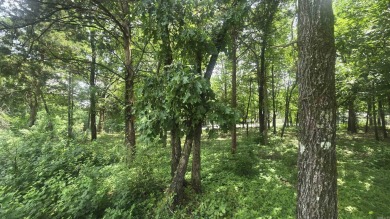 Welcome to your opportunity to own a beautiful 0.37-acre (m/l) on Indian Hills Country Club in Arkansas - for sale on GolfHomes.com, golf home, golf lot