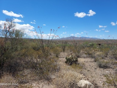 Unobstructed views from this 4.25 acre parcel nestled in the on Del Lago Golf Club in Arizona - for sale on GolfHomes.com, golf home, golf lot