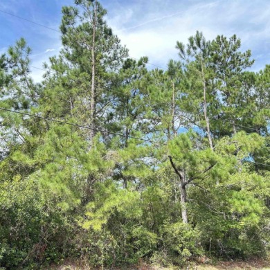 4 Acre wooded, rural/residential property conveniently located on True Blue Plantation in South Carolina - for sale on GolfHomes.com, golf home, golf lot