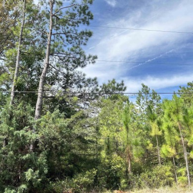 4 Acre wooded, rural/residential property conveniently located on True Blue Plantation in South Carolina - for sale on GolfHomes.com, golf home, golf lot