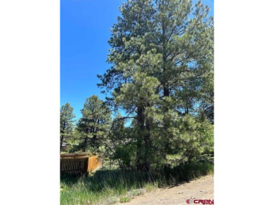 Katie Betts, Best of Pagosa Springs, C: , katiejbetts,  : on Pagosa Springs Golf Club in Colorado - for sale on GolfHomes.com, golf home, golf lot