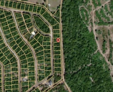 THIS IS THE VERY BEST COUNTY CLUB IN TEXAS for the money. Let me on Hilltop Lakes Resort Golf Club in Texas - for sale on GolfHomes.com, golf home, golf lot