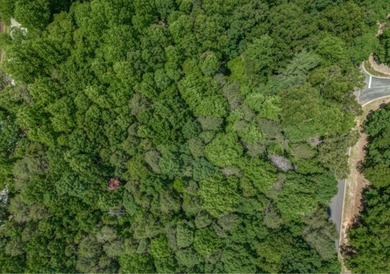 Beautiful 1.30-acre lot located in The Orchard -- one of North on The Orchard Golf and Country Club in Georgia - for sale on GolfHomes.com, golf home, golf lot