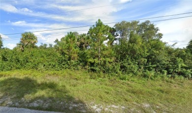 Spacious Duplex Lot available in a great neighborhood, away from on Westminster Golf Club in Florida - for sale on GolfHomes.com, golf home, golf lot
