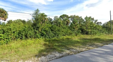 Spacious Duplex Lot available in a great neighborhood, away from on Westminster Golf Club in Florida - for sale on GolfHomes.com, golf home, golf lot
