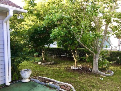 Dollhouse on quiet Cul-de-Sac in well established golf course on Palmetto Greens Golf and Country Club in South Carolina - for sale on GolfHomes.com, golf home, golf lot