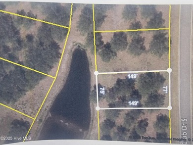 Pond-front home site ready for your dream home located in the on Sea Trail Golf Resort in North Carolina - for sale on GolfHomes.com, golf home, golf lot