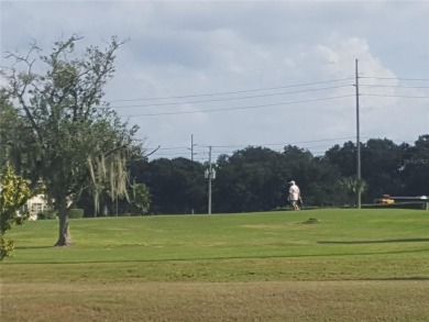 Golfers Dream! Come see steps away from the  private  golf on On Top Of The World Golf Course in Florida - for sale on GolfHomes.com, golf home, golf lot
