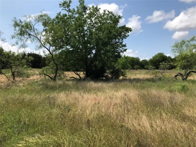 Over half an acre located in fast developing community.  Enjoy on White Bluff Resort - Old Course in Texas - for sale on GolfHomes.com, golf home, golf lot