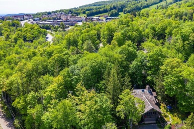 Amazing location for full time or vacation style living! on Stratton Mountain Country Club in Vermont - for sale on GolfHomes.com, golf home, golf lot