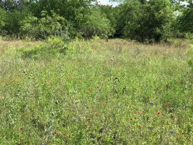 Over half an acre located in fast developing community.  Enjoy on White Bluff Resort - Old Course in Texas - for sale on GolfHomes.com, golf home, golf lot