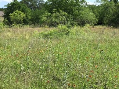 Over half an acre located in fast developing community.  Enjoy on White Bluff Resort - Old Course in Texas - for sale on GolfHomes.com, golf home, golf lot