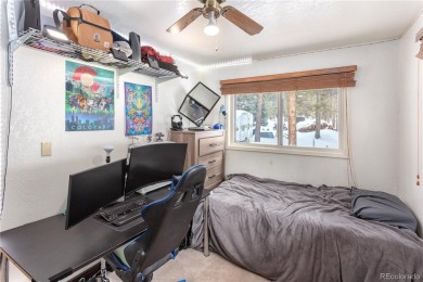 Discovering affordable land in Leadville is often a challenge on Mt. Massive Golf Club in Colorado - for sale on GolfHomes.com, golf home, golf lot