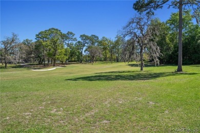 If waking up every morning and sitting in your Florida Room with on Sugarmill Woods Golf and Country Club in Florida - for sale on GolfHomes.com, golf home, golf lot