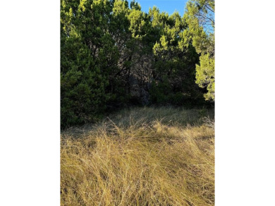 Get away from in all in White Bluff Resort.  Enjoy peace & on White Bluff Resort - New Course in Texas - for sale on GolfHomes.com, golf home, golf lot