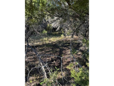 Get away from in all in White Bluff Resort.  Enjoy peace & on White Bluff Resort - New Course in Texas - for sale on GolfHomes.com, golf home, golf lot