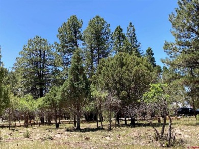 Todd R Schroedel, United Country Sneffels Realty, C: , todd,  : on The Divide Ranch and Club in Colorado - for sale on GolfHomes.com, golf home, golf lot