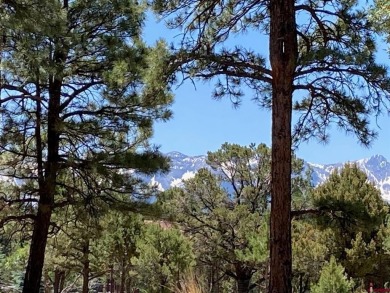Todd R Schroedel, United Country Sneffels Realty, C: , todd,  : on The Divide Ranch and Club in Colorado - for sale on GolfHomes.com, golf home, golf lot