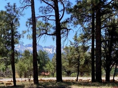 Todd R Schroedel, United Country Sneffels Realty, C: , todd,  : on The Divide Ranch and Club in Colorado - for sale on GolfHomes.com, golf home, golf lot