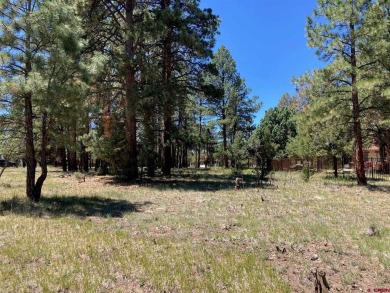 Todd R Schroedel, United Country Sneffels Realty, C: , todd,  : on The Divide Ranch and Club in Colorado - for sale on GolfHomes.com, golf home, golf lot