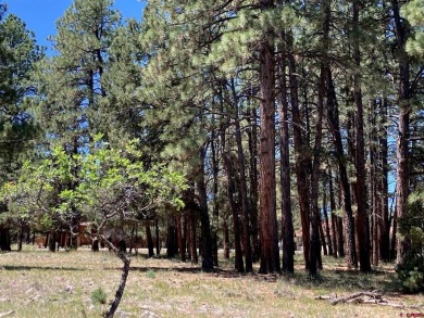 Todd R Schroedel, United Country Sneffels Realty, C: , todd,  : on The Divide Ranch and Club in Colorado - for sale on GolfHomes.com, golf home, golf lot