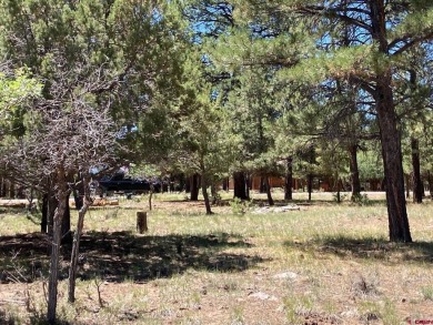 Todd R Schroedel, United Country Sneffels Realty, C: , todd,  : on The Divide Ranch and Club in Colorado - for sale on GolfHomes.com, golf home, golf lot