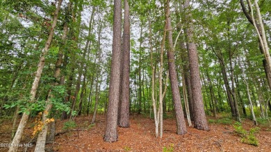 Location, Elbow Room and Serenity! Exquisite Rare 1.2 Acres with on Carolina Shores Golf Course in North Carolina - for sale on GolfHomes.com, golf home, golf lot