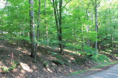 Here is your opportunity to purchase a nice, wooded lot in the on Hide-A-Way Hills Golf Club in Ohio - for sale on GolfHomes.com, golf home, golf lot