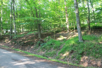 Here is your opportunity to purchase a nice, wooded lot in the on Hide-A-Way Hills Golf Club in Ohio - for sale on GolfHomes.com, golf home, golf lot