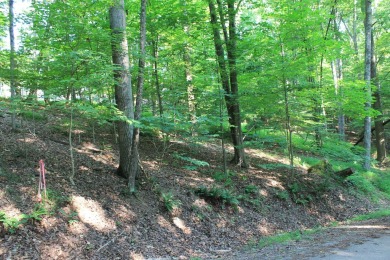 Here is your opportunity to purchase a nice, wooded lot in the on Hide-A-Way Hills Golf Club in Ohio - for sale on GolfHomes.com, golf home, golf lot